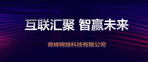 “互聯(lián)聚匯，智贏未來” 2019焦作青峰全網(wǎng)合作峰會***成功！
